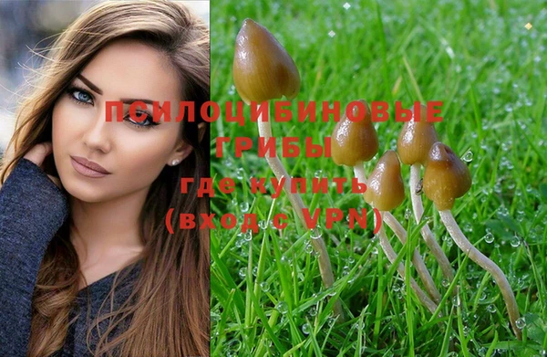 apvp Кодинск