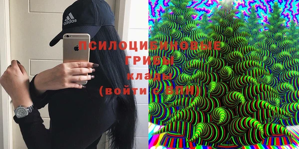 экстази Козловка
